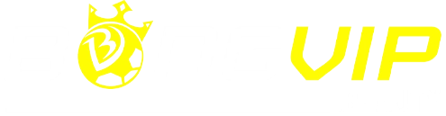 BongVip